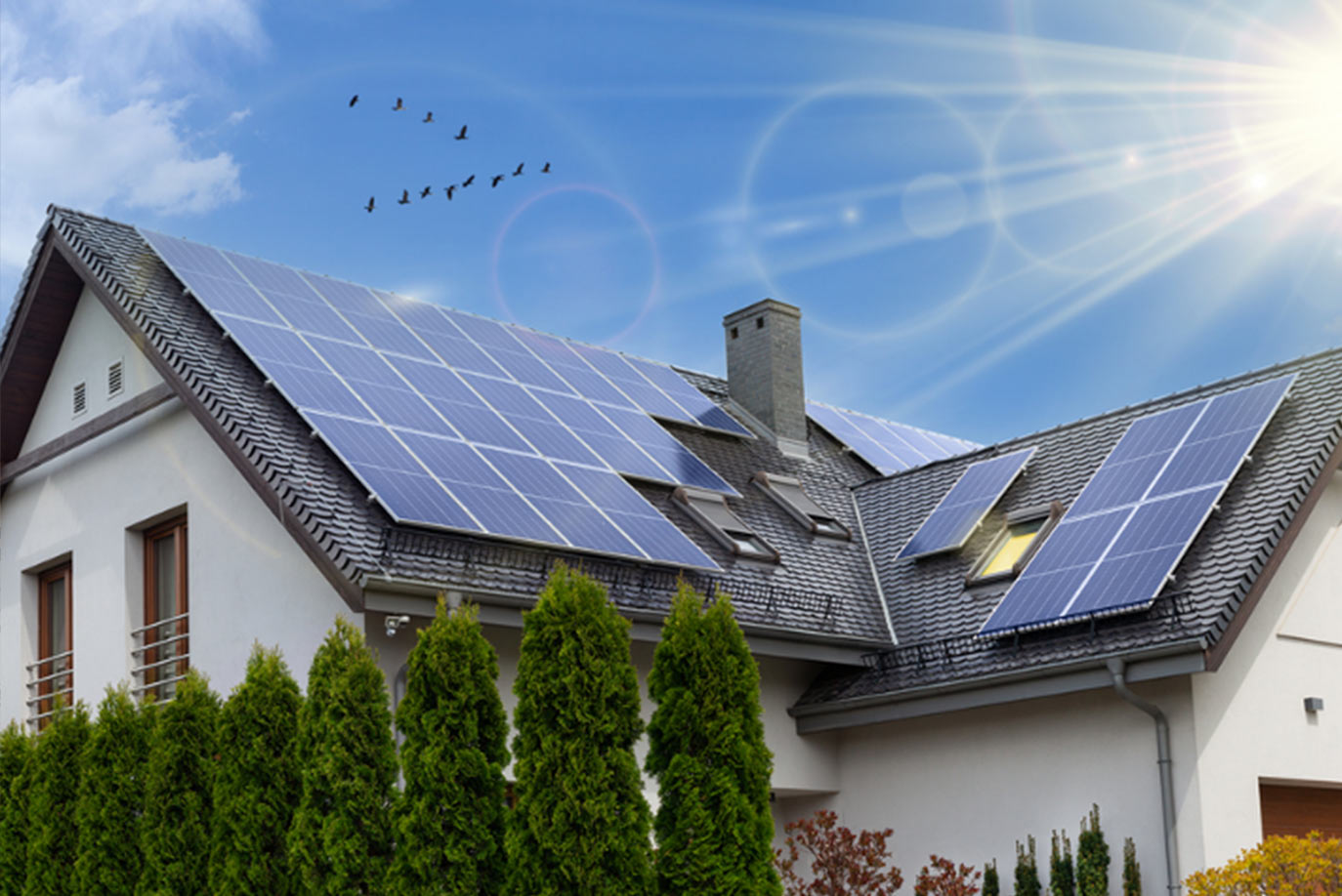 Bangun Rumah Hemat Energi: Tips Konstruksi Ramah Lingkungan untuk Masa Depan